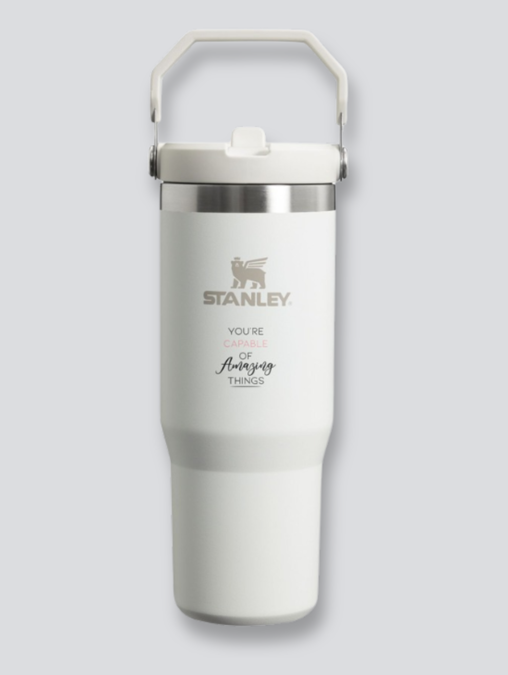 Stanley Flip Straw Tumbler